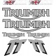 Kit Pegatinas Triumph TT 600